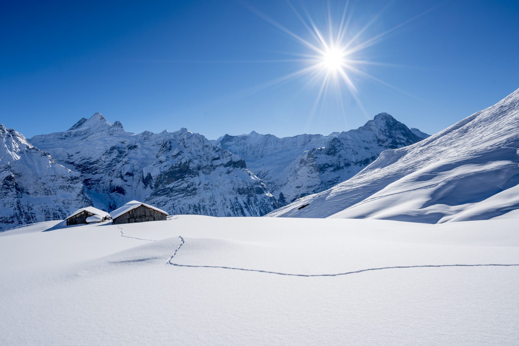 à la carte-reisen ag, Startseite