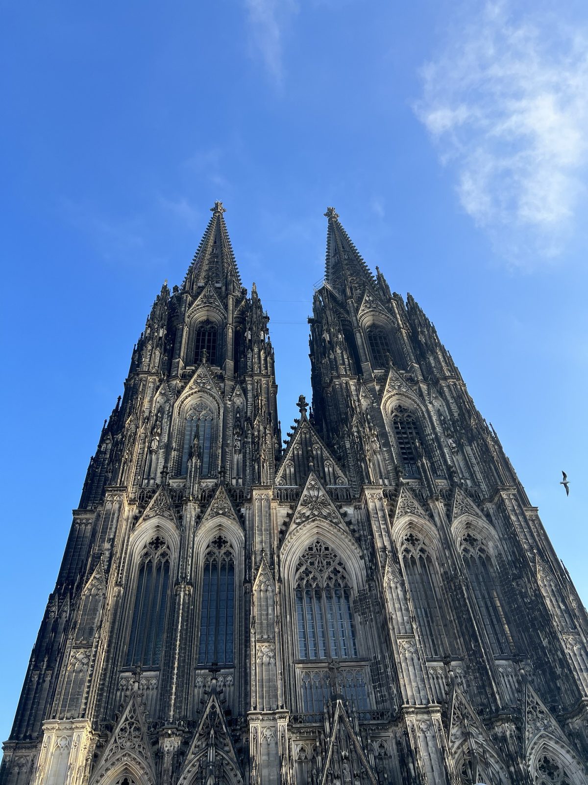 à la carte-reisen ag, feierliche Adventsflussfahrt 2024